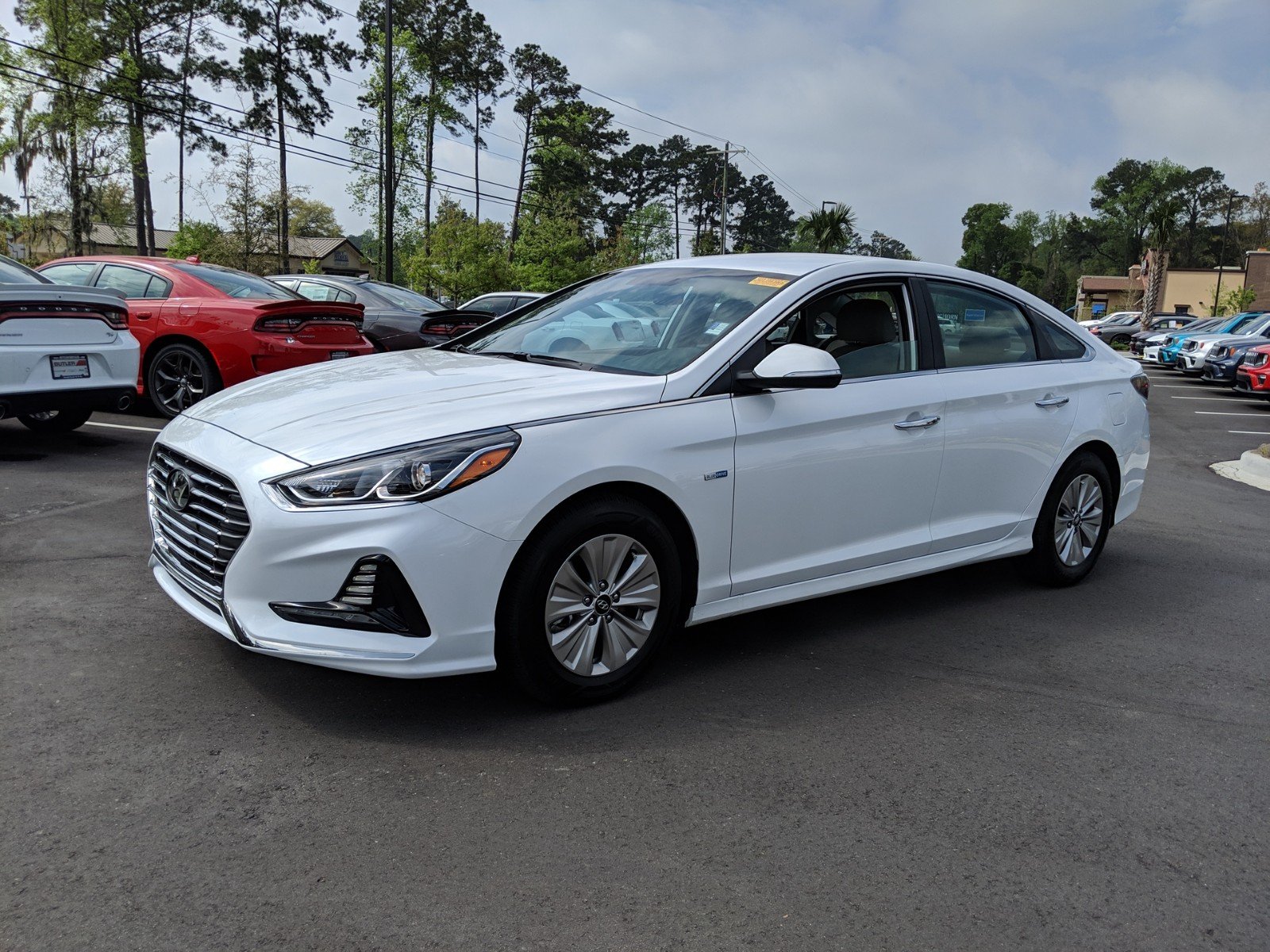 Pre-Owned 2019 Hyundai Sonata Hybrid SE 4D Sedan in Beaufort #P091584 ...